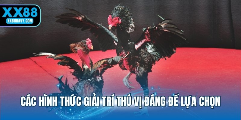 Các hình thức giải trí thú vị đáng để lựa chọn