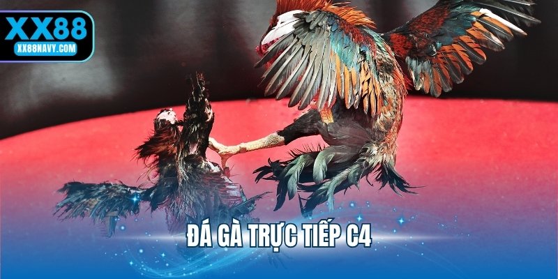 đá gà trực tiếp