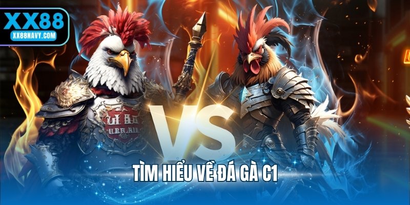 Tìm hiểu về đá gà C1
